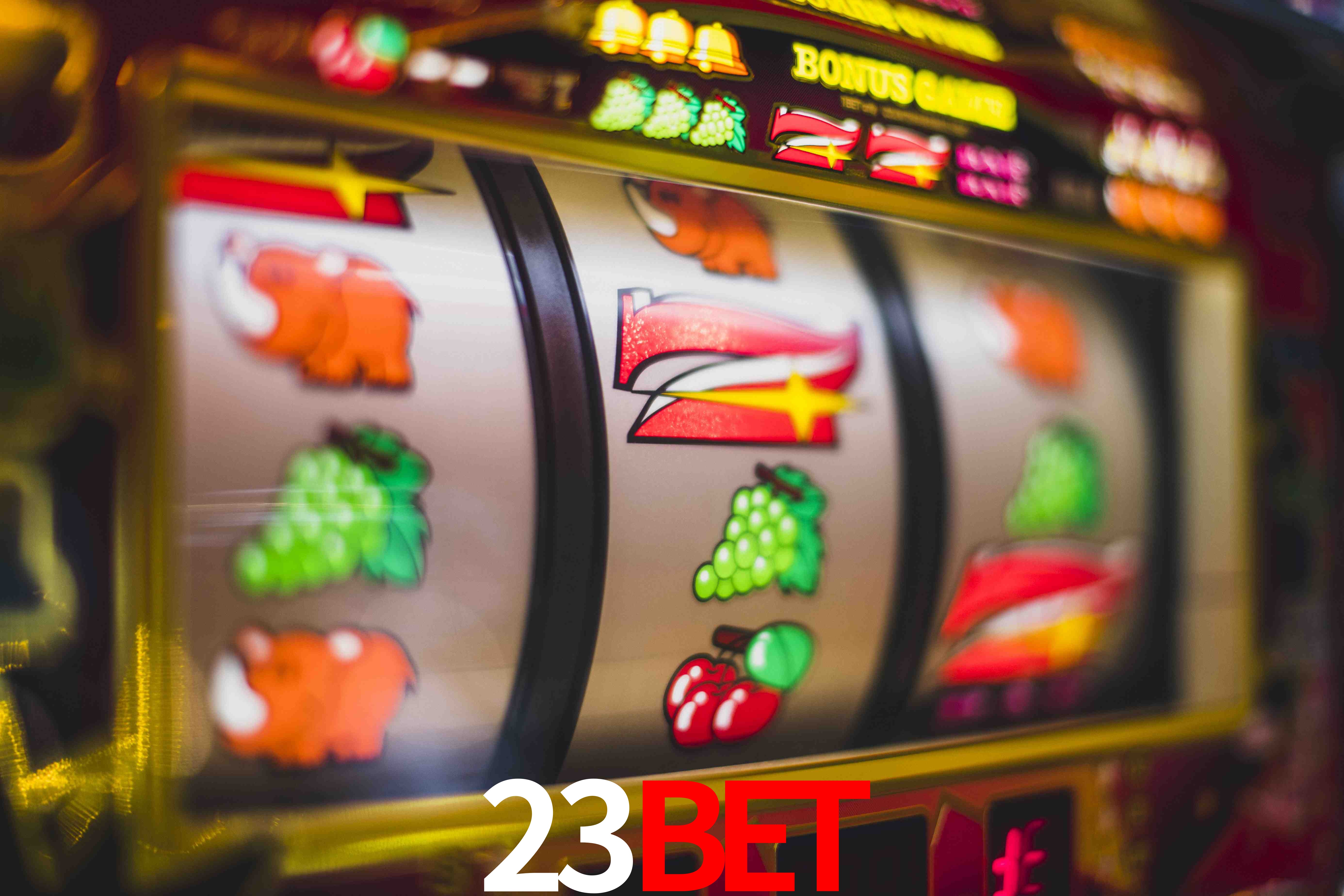 Basketball Betting 23bet